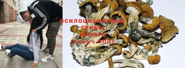 экстази Рославль