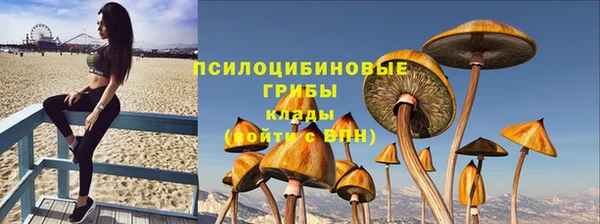 шишки Абдулино